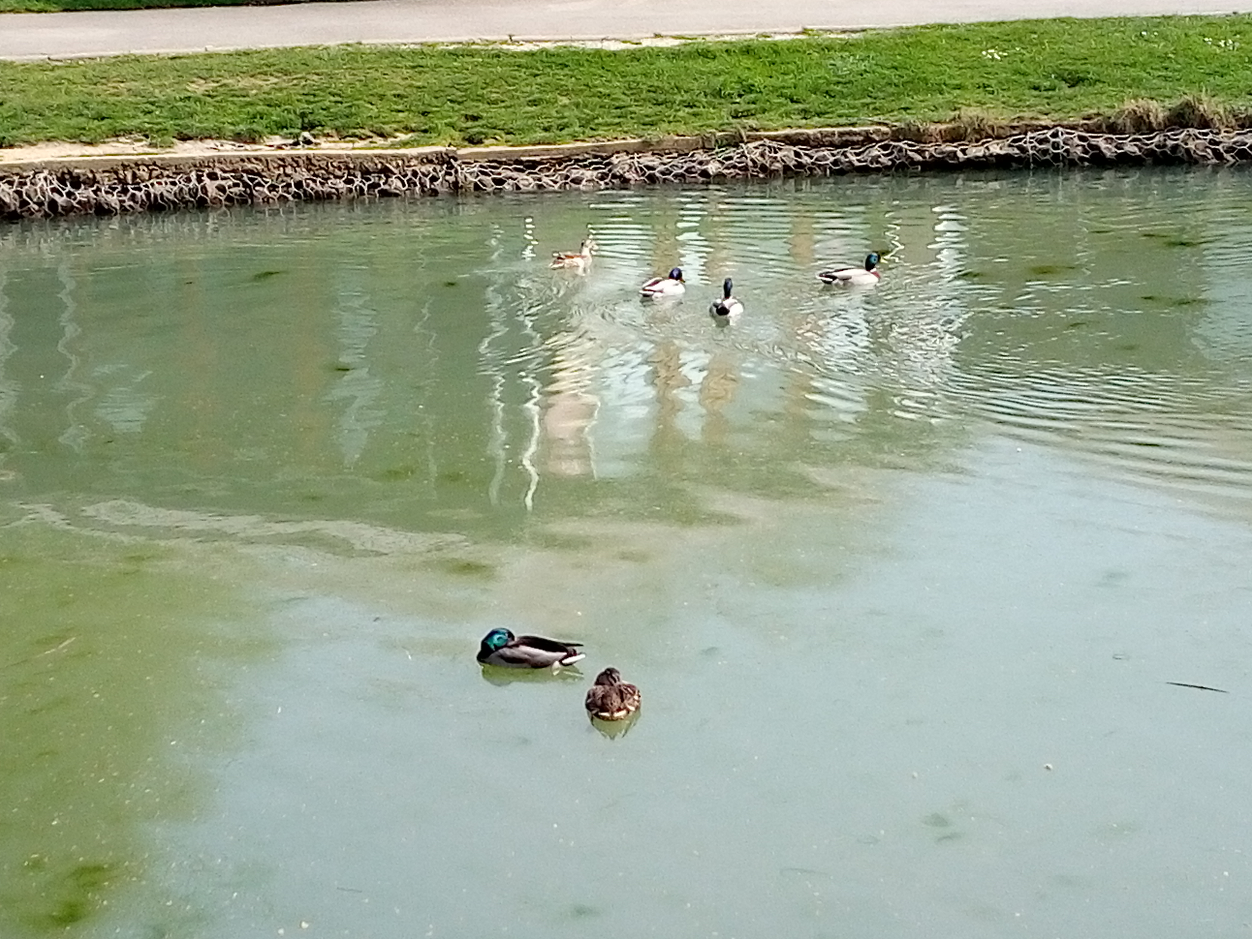 Photo n° 1 de l'avis de coralie.a fait le 11/05/2019 à 16:24