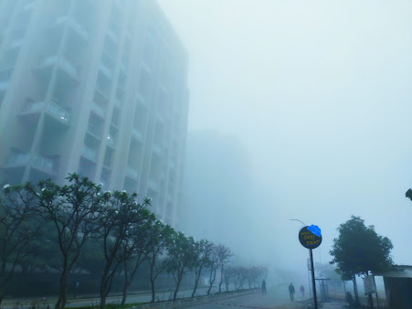 Google Maps image 19