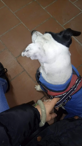Clínica Veterinaria Santiago Cortés en Monachil