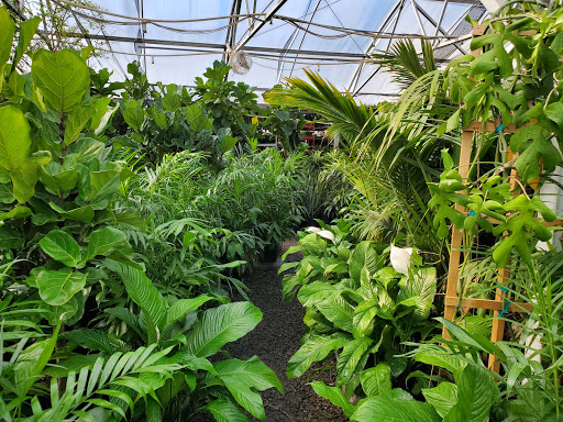 Florist «Little Eden Plantscaping», reviews and photos, 15550 W 72nd Ave, Arvada, CO 80007, USA