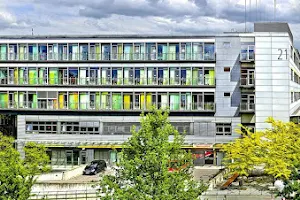 Medizinische Fakultät der TU Dresden Klinik und Poliklinik für Frauenheilkunde und Geburtshilfe image