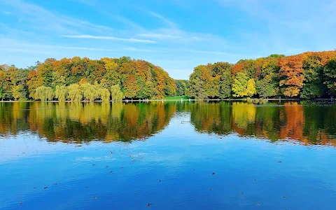 Adenauerweiher image