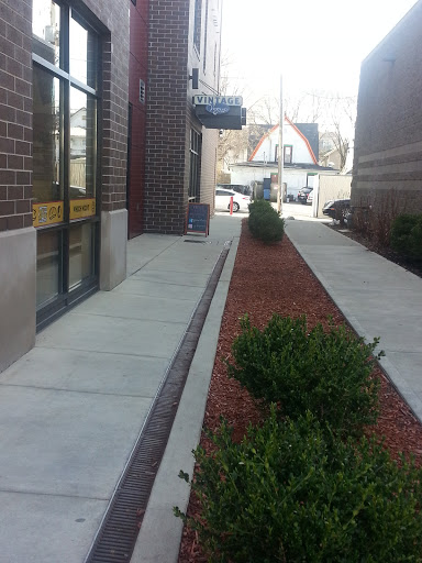 Vintage Vogue by GW, 422 E Kirkwood Ave, Bloomington, IN 47408, USA, 