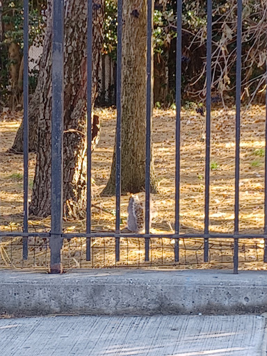 Park «Elmhurst Park», reviews and photos, 57th Ave & Grand avenue, Queens, NY 11373, USA