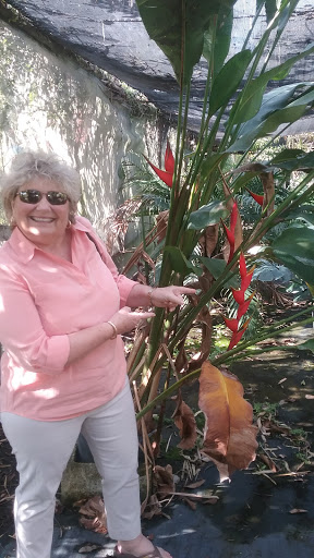 Florist «Weatherbee Nursery», reviews and photos, 701 E Weatherbee Rd, Fort Pierce, FL 34982, USA