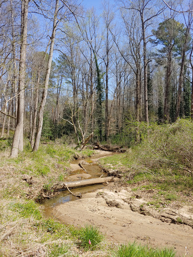 Nature Preserve «Fernbank Forest», reviews and photos, 767 Clifton Rd, Atlanta, GA 30307, USA