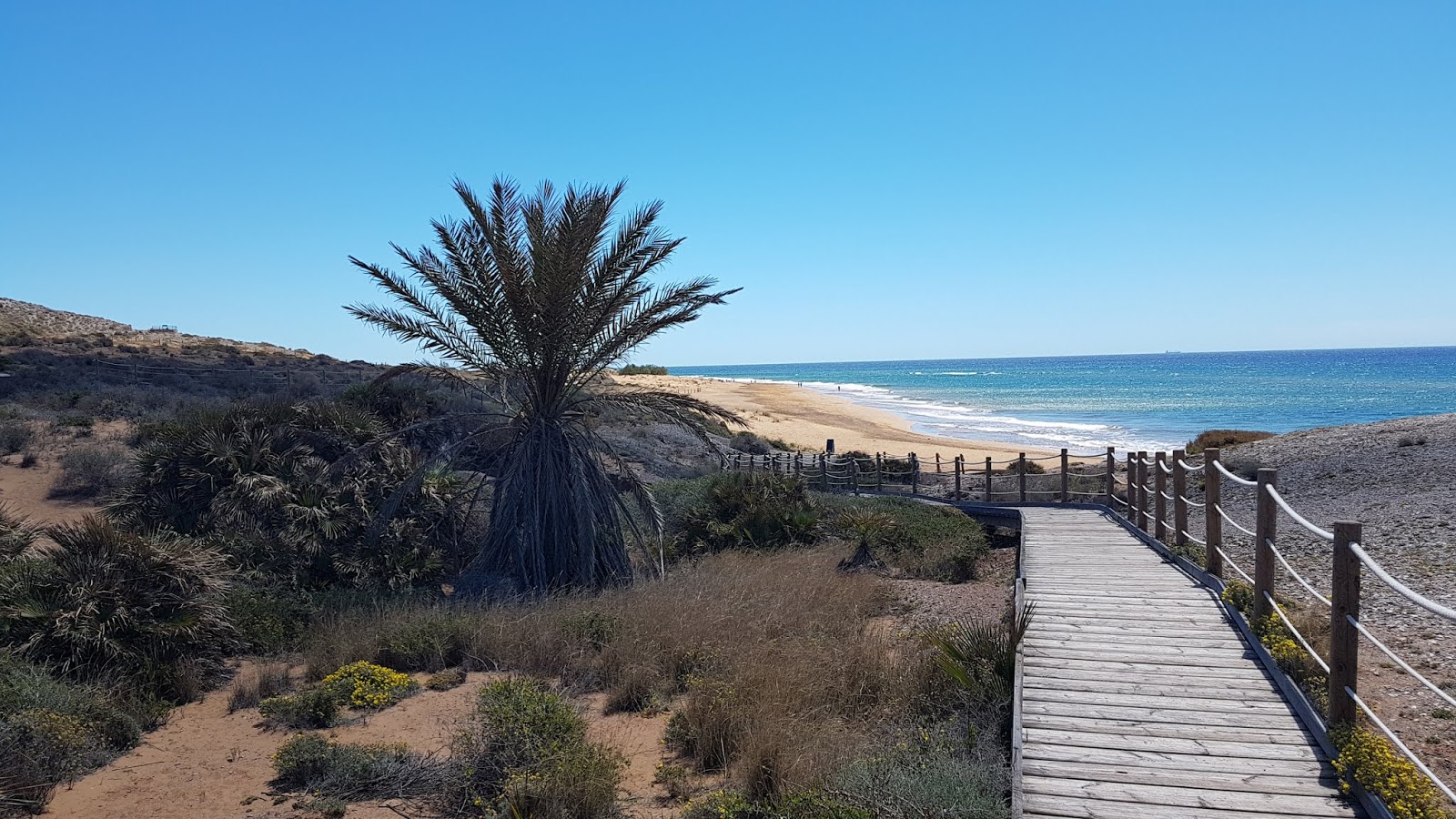 Playa Larga photo #9