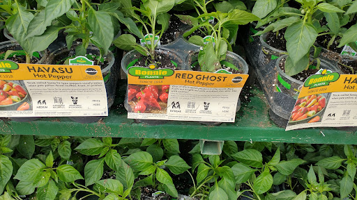 Department Store «Rural King», reviews and photos, 4000 W Bethel Ave, Muncie, IN 47304, USA