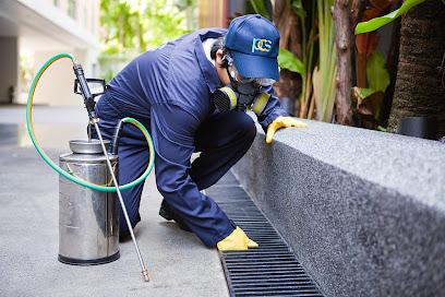 Bayswater Pest Control | Domestic and Commercial Pest Control Services in Melbourne