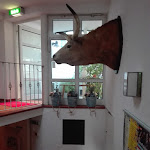 Photo n°13 de l'avis de Olga.a fait le 21/09/2019 à 12:41 sur le  Zum Goldenen Ochsen à Aschaffenburg