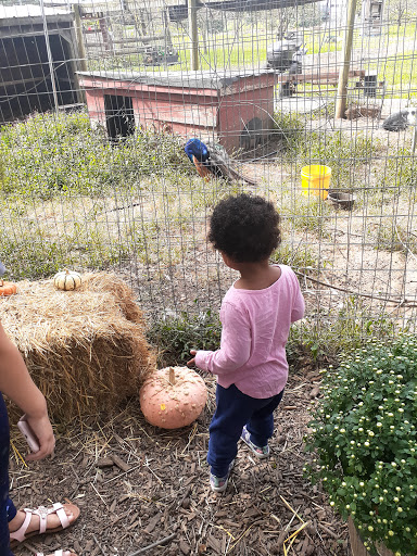 Produce Market «Highland Orchards Farm Market», reviews and photos, 1431 Foulk Rd, Wilmington, DE 19803, USA