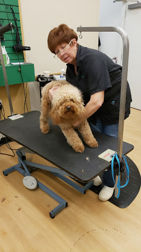 Pet Supply Store «Pet Supplies Plus», reviews and photos, 585 Moseley Rd, Fairport, NY 14450, USA