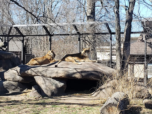 Zoo «Topeka Zoo», reviews and photos, 636 SW Zoo Pkwy, Topeka, KS 66606, USA