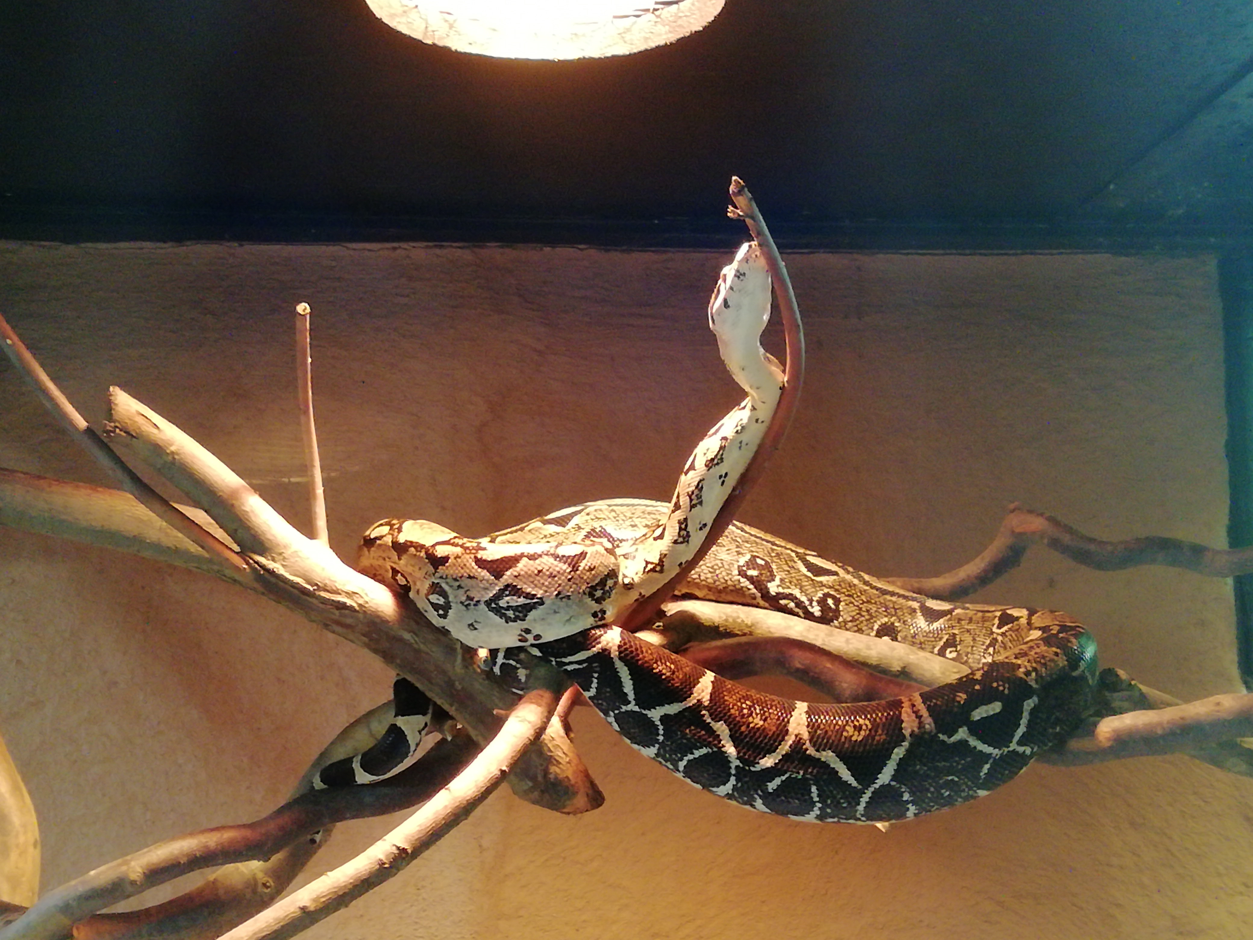 Photo n° 5 de l'avis de José.a fait le 22/08/2021 à 22:03