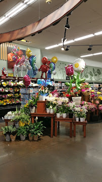 Fry's Pharmacy - Photo 4 - Car repair in Chandler, AZ, Chandler