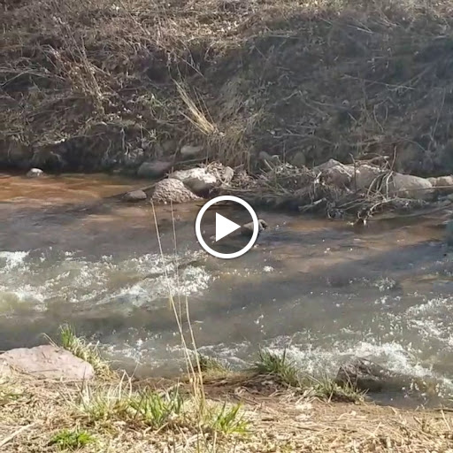 Park «Vermijo Park», reviews and photos, 2601 W Vermijo Ave, Colorado Springs, CO 80904, USA