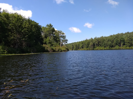 Canoe & Kayak Tour Agency «Main Stream Canoes & Kayaks/ SUP /OutDoor Z llc», reviews and photos, 170 Main St, New Hartford, CT 06057, USA