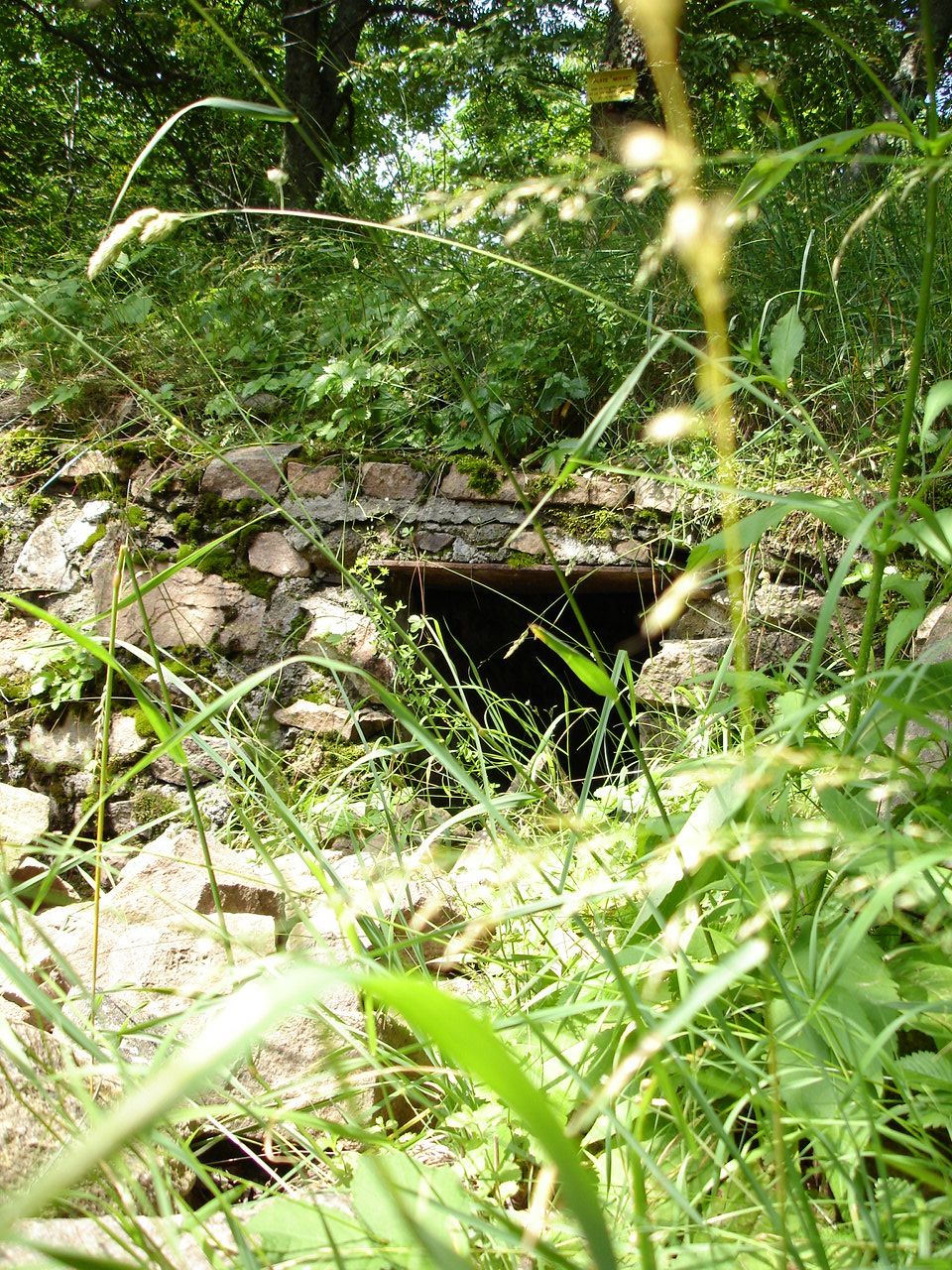 Photo n° 6 de l'avis de Laugal.a fait le 16/04/2023 à 17:05