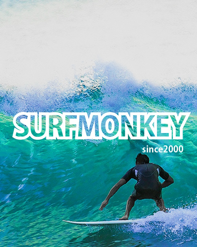 SURF MONKEY