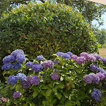 Photo n°1 de l'avis de Tina.c fait le 28/07/2022 à 05:57 sur le  Landgasthaus zur Mühle à Waldbrunn