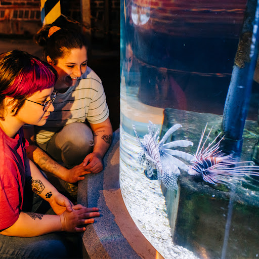 Aquarium «Greater Cleveland Aquarium», reviews and photos, 2000 Sycamore St, Cleveland, OH 44113, USA