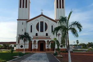 Catedral Nossa Senhora do Seringueiro image