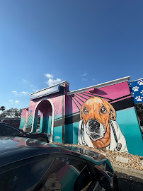 St. Petersburg Animal Hospital and Urgent Care - Photo 3 - Car repair in St. Petersburg, FL, St. Petersburg
