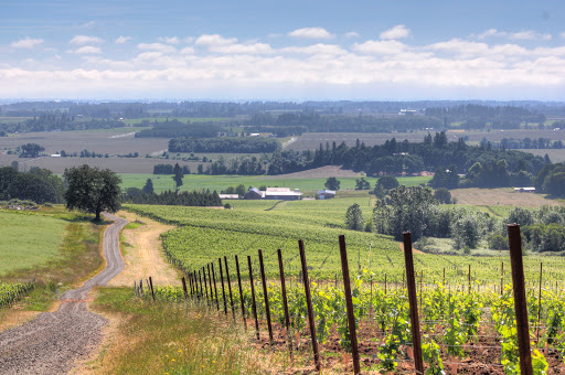 Winery «Benton-Lane Winery», reviews and photos, 23924 Territorial Rd, Monroe, OR 97456, USA