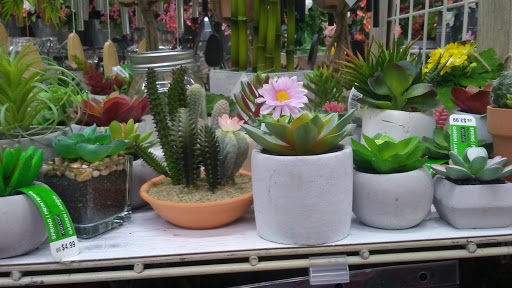 Craft Store «Michaels», reviews and photos, 15100 Hesperian Blvd, San Leandro, CA 94578, USA