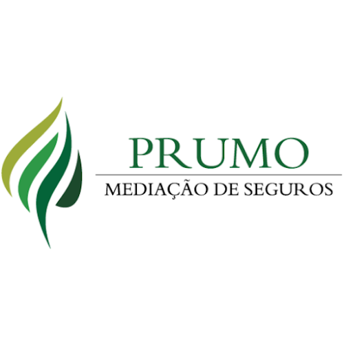 Prumo Mediação de Seguros Lda. - Miranda do Corvo