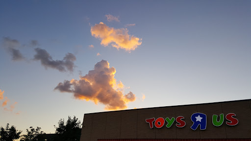 Toy Store «Toys