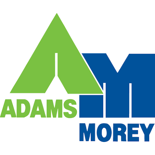 Adams Morey - Fiat Professional - Car dealer