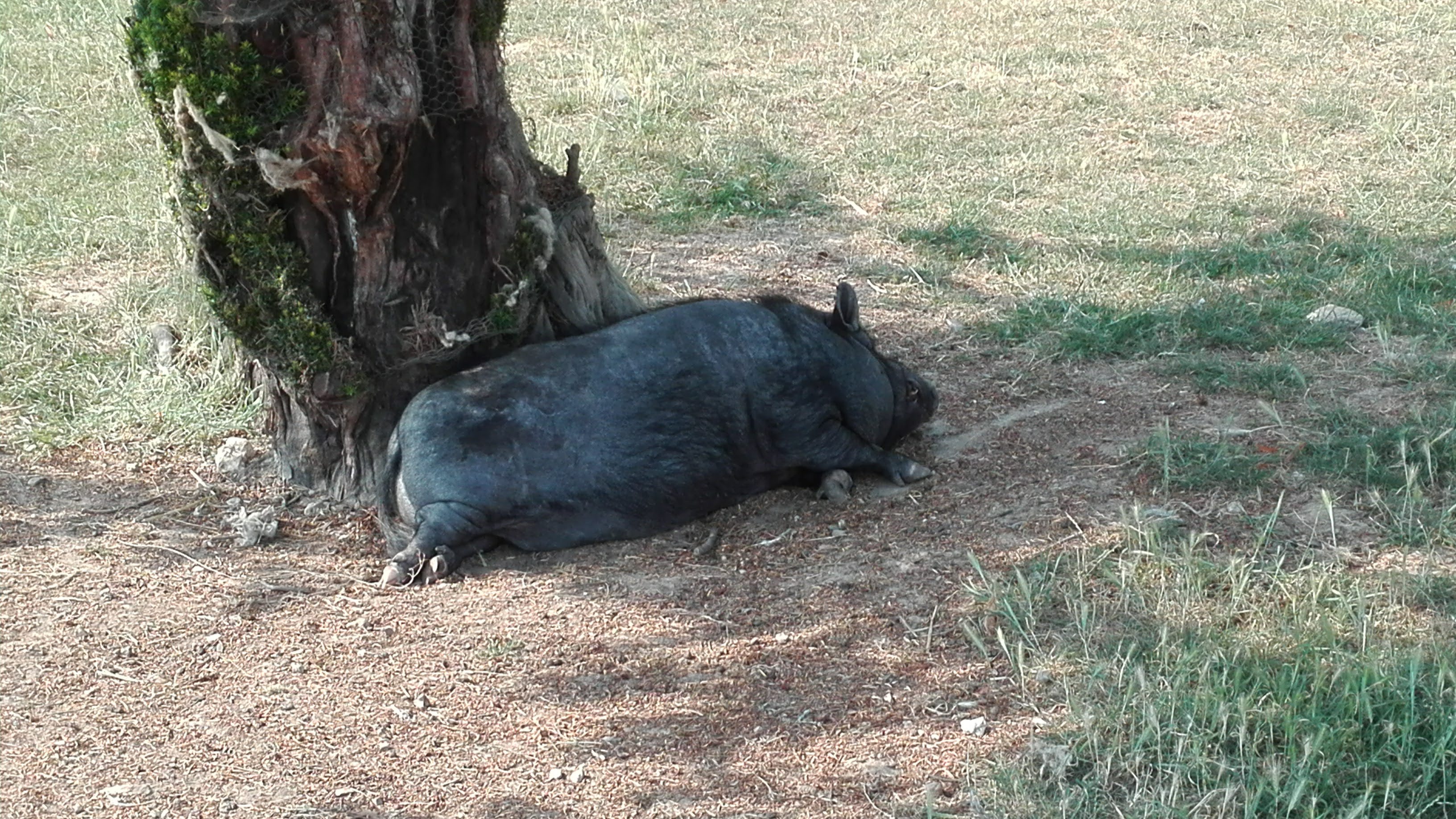 Photo n° 2 de l'avis de murielle.a fait le 15/07/2018 à 19:02