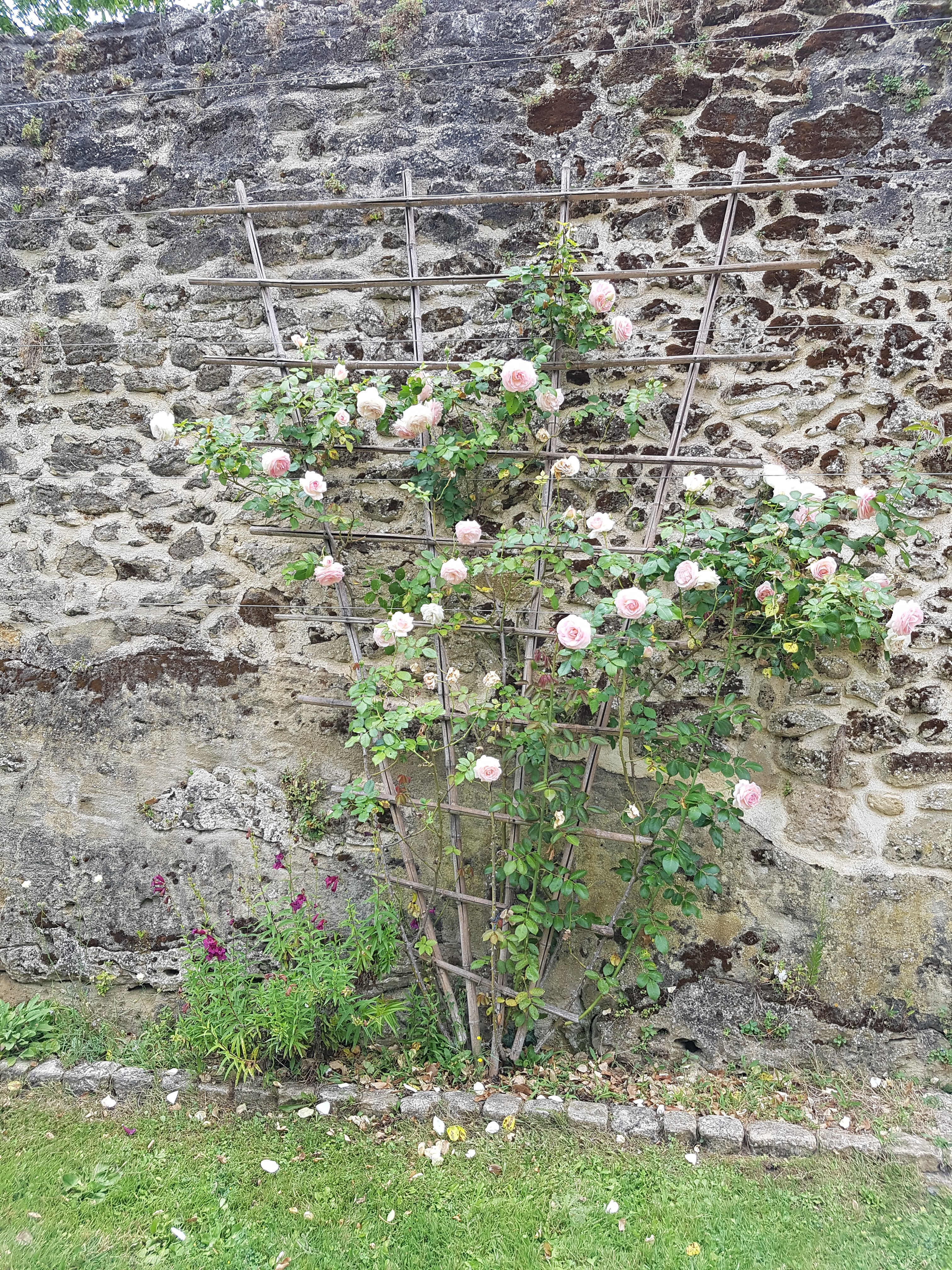 Photo n° 7 de l'avis de Hajer.a fait le 25/07/2020 à 12:52