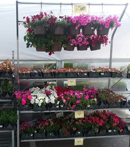 Hardware Store «Taylor’s Do it Center», reviews and photos, 2865 Lynnhaven Dr, Virginia Beach, VA 23451, USA