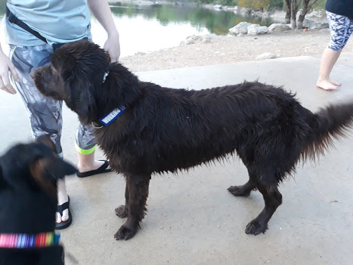 Park «Tom Slick Park / Dog Park», reviews and photos, 7400 Texas 151 Access Rd, San Antonio, TX 78227, USA