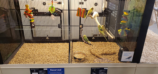 Pet Supply Store «PetSmart», reviews and photos, 100 108th Ave NE, Bellevue, WA 98004, USA