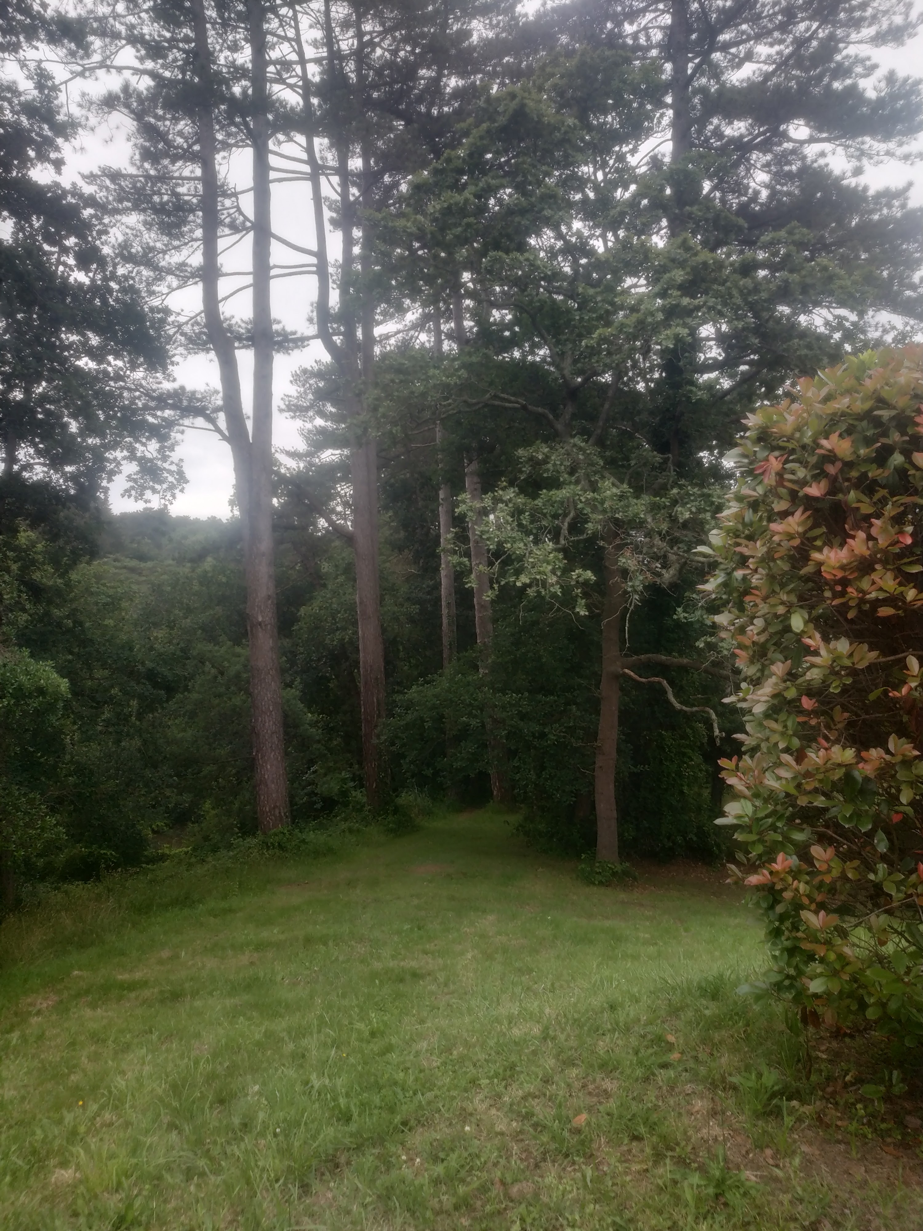 Photo n° 2 de l'avis de Rachida.o fait le 27/06/2021 à 14:19