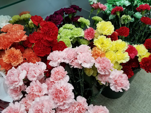 Florist «Hofmann Florist», reviews and photos, 450 Dixie Hwy, Chicago Heights, IL 60411, USA