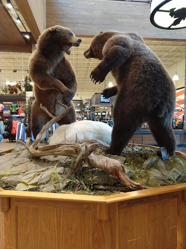 Outdoor Sports Store «Field & Stream», reviews and photos, 2075 Interchange Rd, Erie, PA 16509, USA