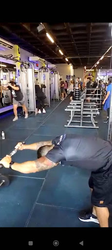 Logo da empresa - David Cavalcanti - Personal Trainer em Santos