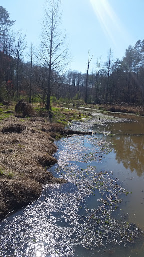 Nature Preserve «Melvin L. Newman Wetlands Center», reviews and photos, 2755 Freeman Rd, Hampton, GA 30228, USA