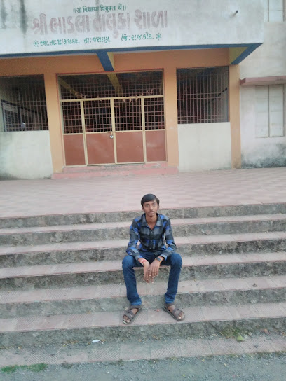 Bhadla Taluka School