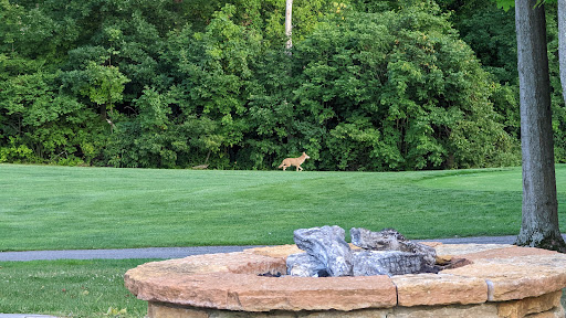 Golf Club «Safari Golf Club», reviews and photos, 4850 W Powell Rd, Powell, OH 43065, USA