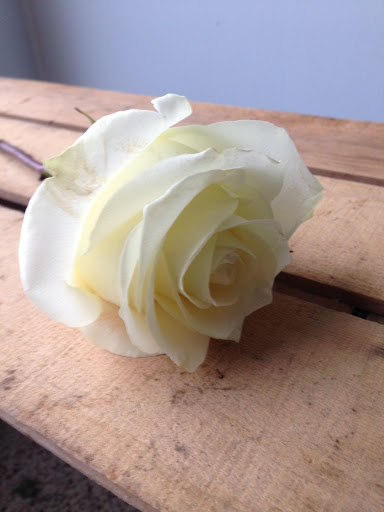 Florist «The Flower Girl», reviews and photos, 108 S 5th St, Middletown, IN 47356, USA