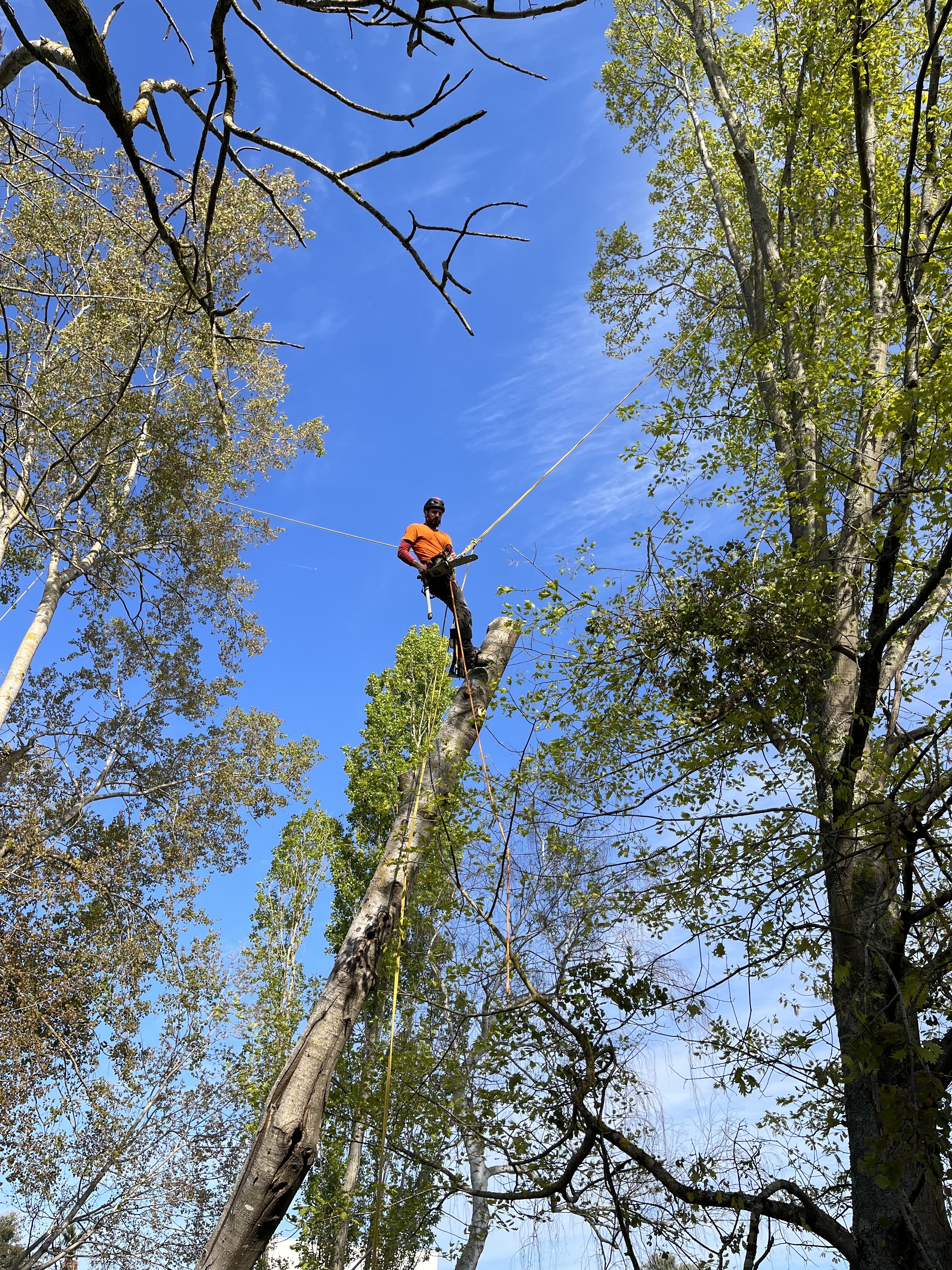 Photo n° 3 de l'avis de Nicolas.R fait le 20/04/2023 à 17:54