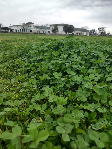 Park «Mike Ward Community Park Woodbridge», reviews and photos, 20 Lake Rd, Irvine, CA 92604, USA