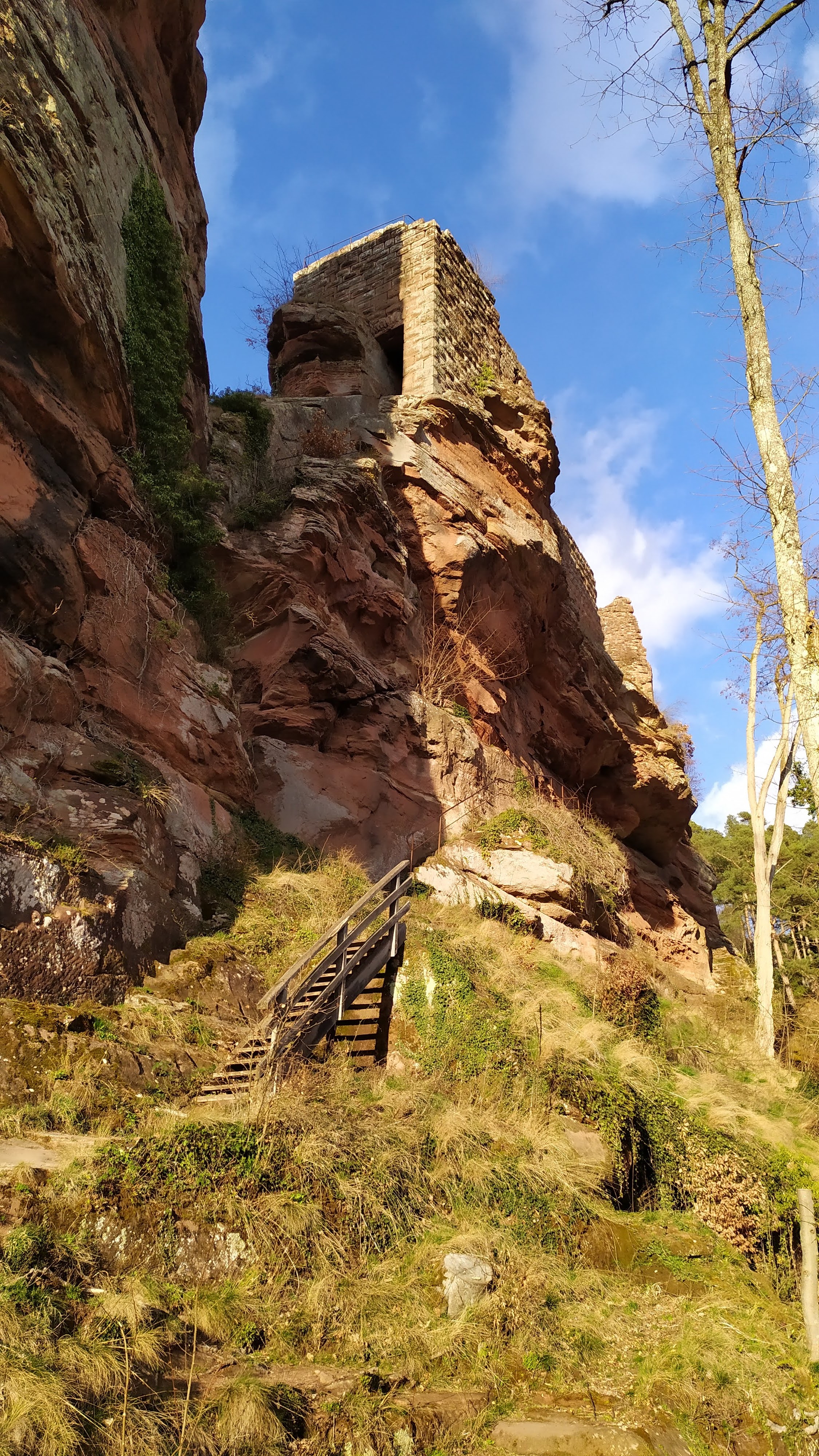 Photo n° 4 de l'avis de Toto.i fait le 21/03/2021 à 20:20
