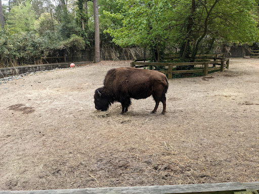 Zoo «Salisbury Zoological Park», reviews and photos, 755 S Park Dr, Salisbury, MD 21804, USA