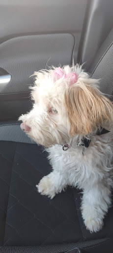 Pet Supply Store «Petco Animal Supplies», reviews and photos, 852 N Western Ave, San Pedro, CA 90732, USA